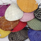 Gator Colors