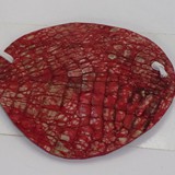 Gator Red