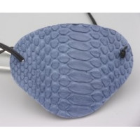 Python Blue